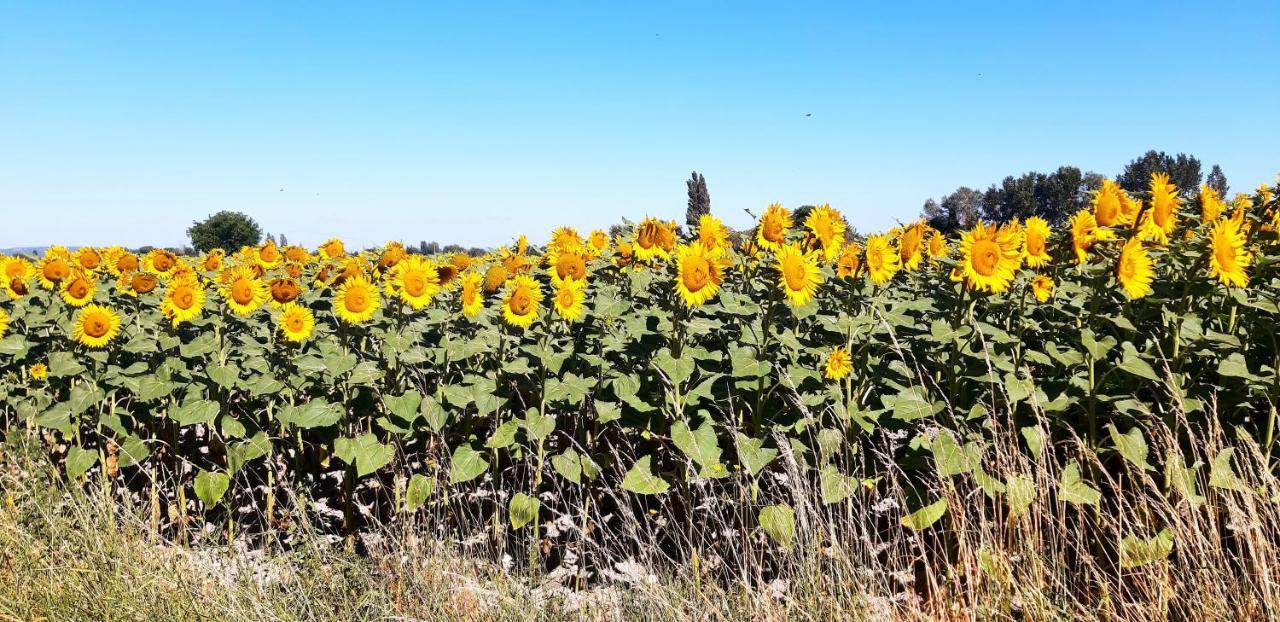 L'Instant Provence Villa Valreas Luaran gambar